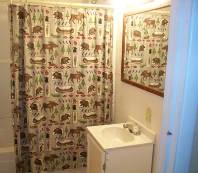 A small bathroom featuring a shower with a nature-themed curtain adorned with moose, bears, trees, and canoes. There is a white sink with a mirror above it and a lit light fixture. The sink is against a white wall, and the bathtub is partially visible to the left.