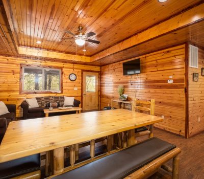 A cozy cabin interior with wood-paneled walls and ceiling, a wooden dining table with benches, a small sofa, a wall-mounted TV, and a window showing trees outside. Warm, rustic atmosphere with natural lighting.