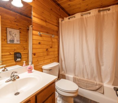 A cozy bathroom with wood-paneled walls, a white sink with a mirror above, a toilet, and a bathtub with a beige shower curtain. A towel hangs on the tub, and soap and flowers are on the sink.